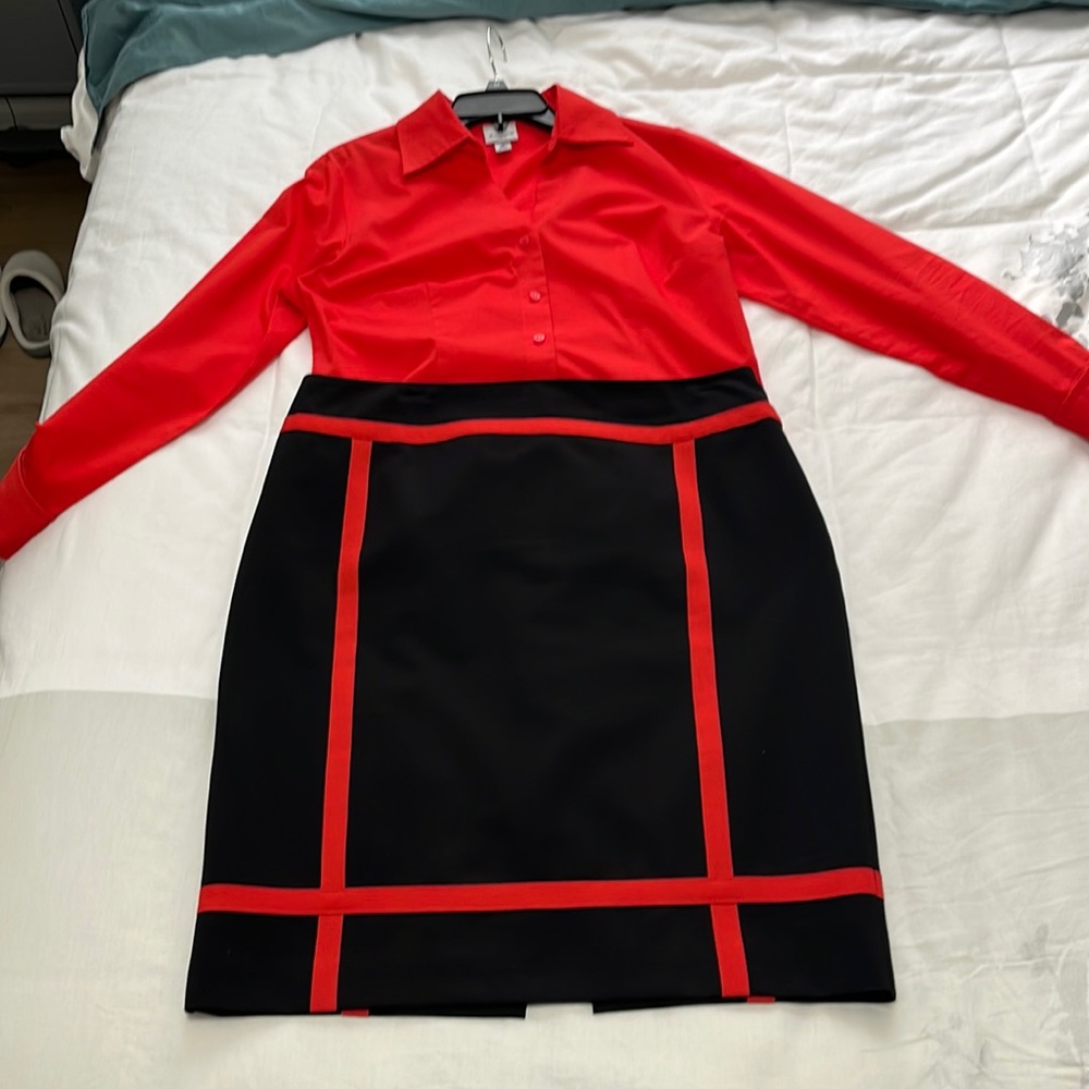 Skirt and Blouse
